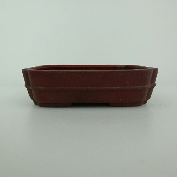 中古盆栽鉢 青香 小型 長辺 約 14.7cm 長方鉢 隅入 中帯 泥物  中古鉢 s1198416065