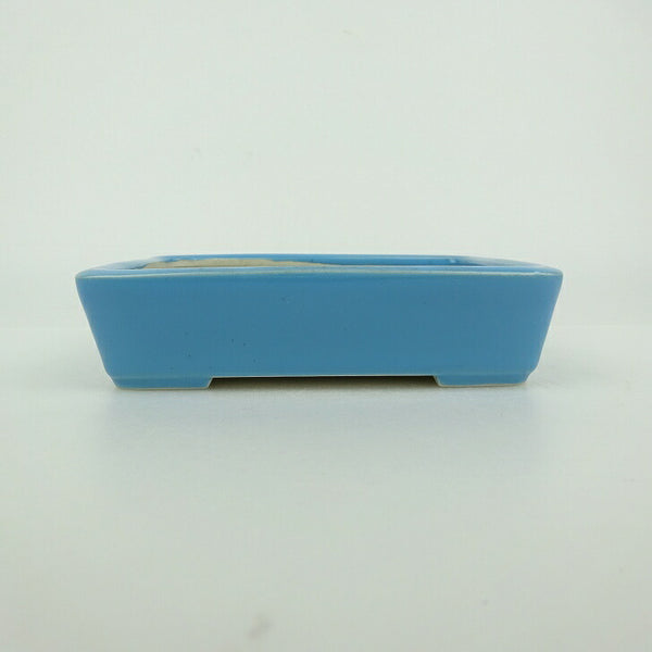 中古盆栽鉢 青香 小型 長辺 約 12cm 長方鉢 釉薬  中古鉢 r1198403537