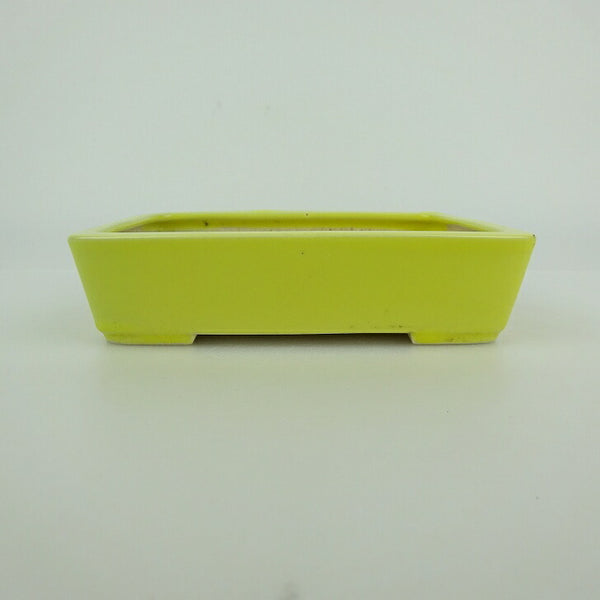 中古盆栽鉢 青香 小型 長辺 約 12.2cm 長方鉢 釉薬  中古鉢 u1198431603
