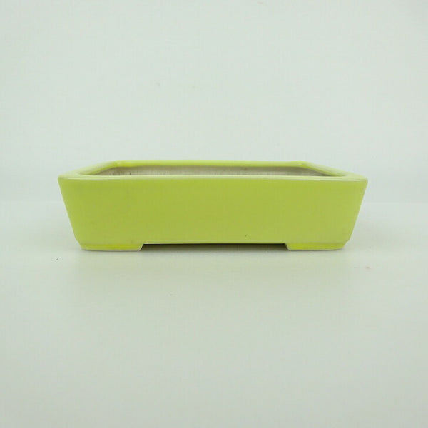 中古盆栽鉢 青香 小型 長辺 約 12cm 長方鉢 釉薬  中古鉢 u1198422949