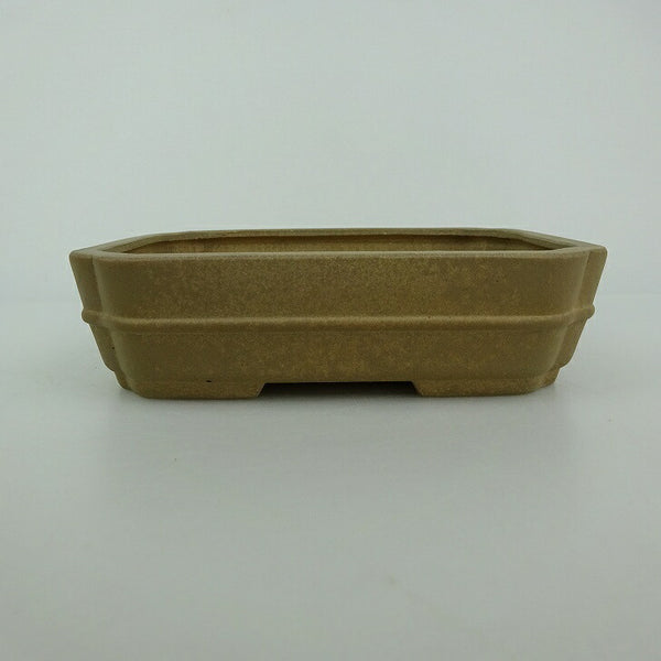 中古盆栽鉢 青香 小型 長辺 約 14.5cm 長方鉢 隅入 中帯 泥物  中古鉢 g1198422757