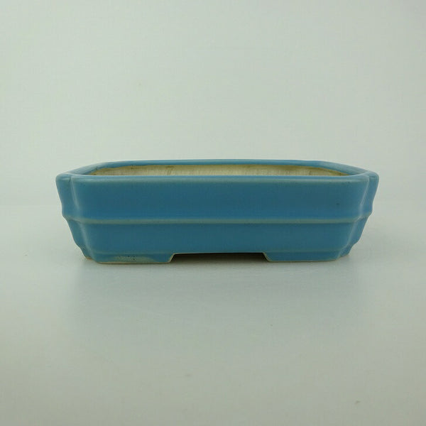 中古盆栽鉢 青香 小型 長辺 約 14.6cm 長方鉢 隅入 中帯 釉薬  中古鉢 1198404026
