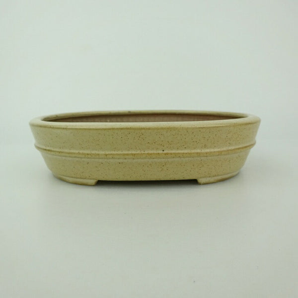 中古盆栽鉢 青香 小型 長辺 約 14.5cm 楕円鉢 中帯 釉薬  中古鉢 p1198422204