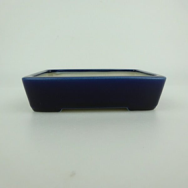 中古盆栽鉢 青香 小型 長辺 約 12cm 長方鉢 釉薬  中古鉢 1198402238