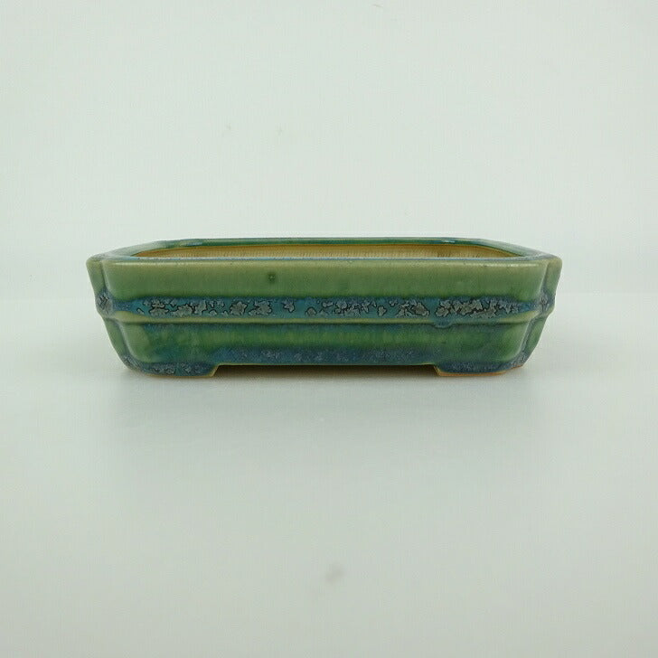 盆栽鉢 青香 小鉢 長辺 約9.5cm 長方鉢 貫入 釉薬 現品