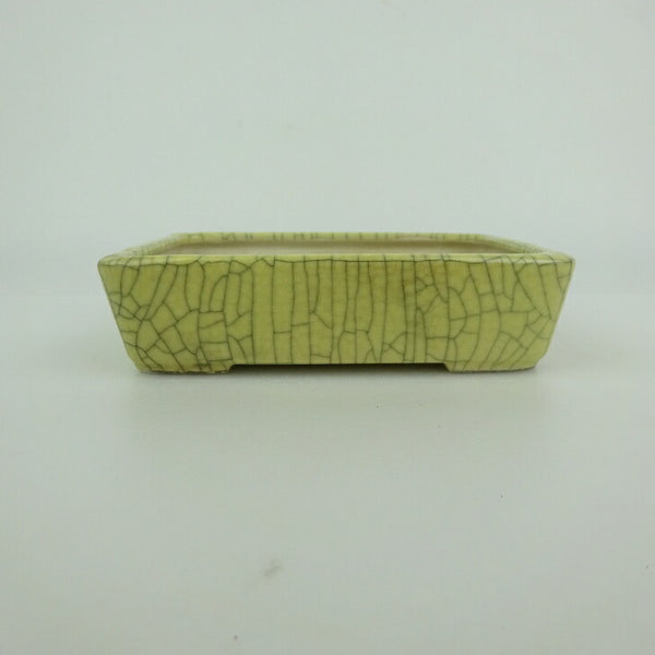 中古盆栽鉢 青香 小型 長辺 約 12.4cm 長方鉢 貫入 釉薬  中古鉢 o1198429406