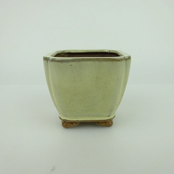 中古盆栽鉢 青香 小鉢 長辺 約6.5cm 正方鉢 隅入 雲足 釉薬  中古鉢 x1198411428