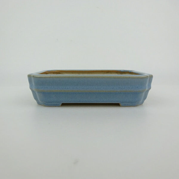 中古盆栽鉢 青香 小型 長辺 約 12cm 長方鉢 中帯 隅入 釉薬  中古鉢 h1198429504