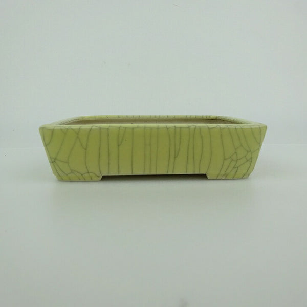 中古盆栽鉢 青香 小型 長辺 約 12cm 長方鉢 貫入 釉薬  中古鉢 d1198419499