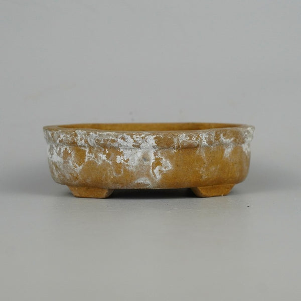 中古 盆栽鉢 常滑 旭清 小鉢 長辺 約 9.2cm 木瓜鉢 泥物  中古鉢 p1198422257