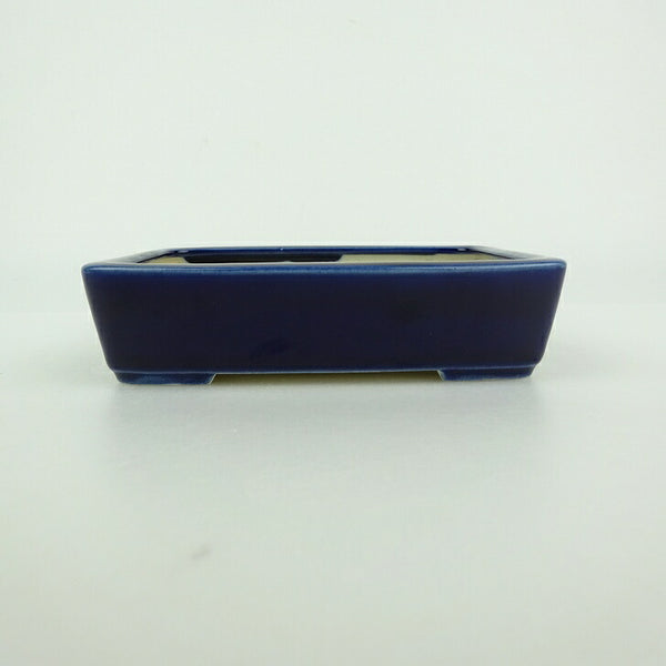 中古盆栽鉢 青香 小型 長辺 約 12cm 長方鉢 釉薬  中古鉢 h1198420797