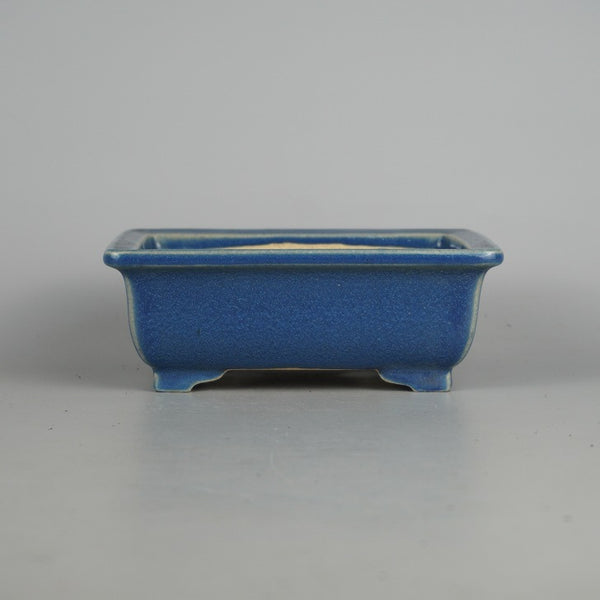 中古盆栽鉢 陽明交趾 小型 長辺 約 15cm 長方鉢 外縁 釉薬  中古鉢 m1198407181