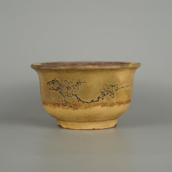 中古盆栽鉢 落款なし 小型 長辺 約 14.5cm 丸鉢 彫入 梅 植物 白泥 釉薬 観賞用  中古鉢 d1198425421