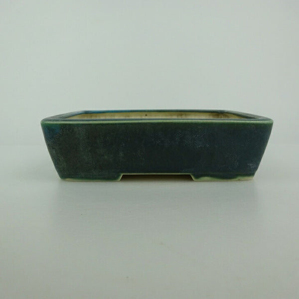 中古盆栽鉢 青香 小型 長辺 約 14.5cm 長方鉢 釉薬  中古鉢 p1198421207