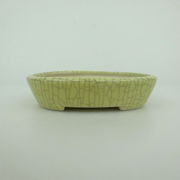 中古盆栽鉢 青香 小鉢 長辺 約10cm 楕円鉢 貫入 釉薬  中古鉢 l1198413213