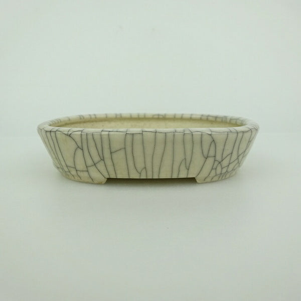 中古盆栽鉢 青香 小鉢 長辺 約10cm 楕円鉢 貫入 釉薬  中古鉢 o1198426127