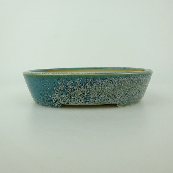 中古盆栽鉢 青香 小型 長辺 約 14.8cm 楕円鉢 釉薬  中古鉢 m1198412213
