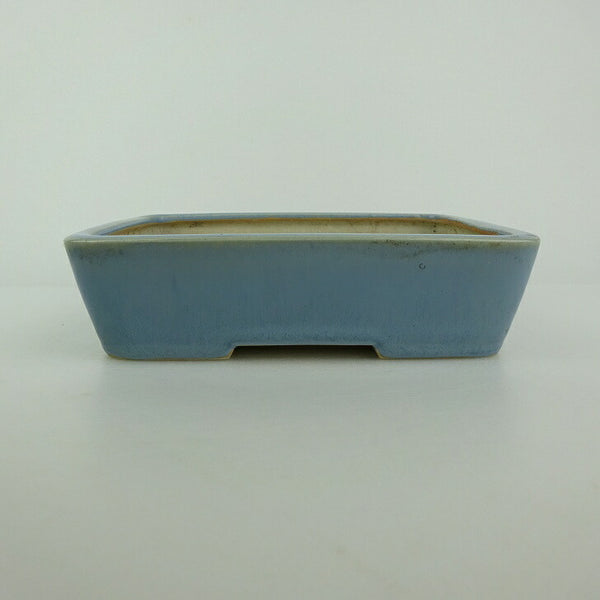 中古盆栽鉢 青香 小型 長辺 約 14.7cm 長方鉢 釉薬  中古鉢 f1198413356