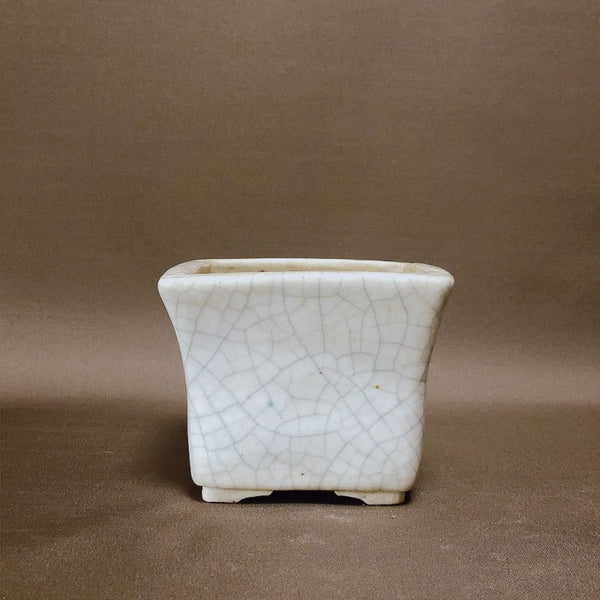 盆栽鉢 清水 利重 小型 長辺 約12m 正方鉢 貫入 白釉 釉薬  新品 f1198415552