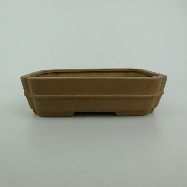 中古盆栽鉢 青香 小型 長辺 約 14.3cm 長方鉢 隅入 中帯 泥物  中古鉢 f1198414261
