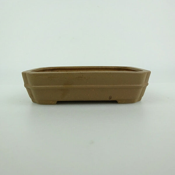 中古盆栽鉢 青香 小型 長辺 約 12cm 長方鉢 中帯 隅入 泥物  中古鉢 j1198420102