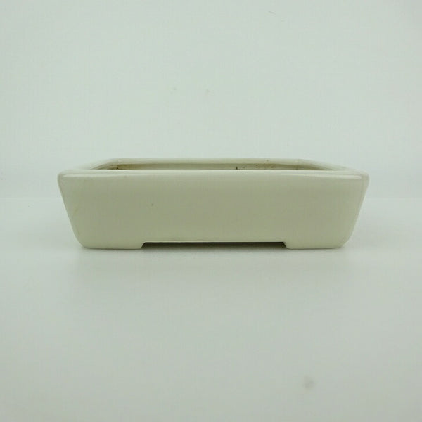 中古盆栽鉢 青香 小型 長辺 約 12.2cm 長方鉢 釉薬  中古鉢 v1198433696