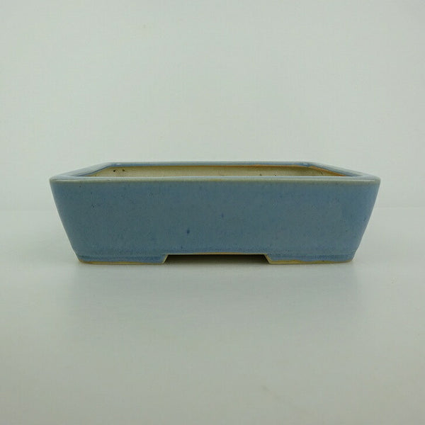 中古盆栽鉢 青香 小型 長辺 約 14.5cm 長方鉢 釉薬  中古鉢 b1198423810