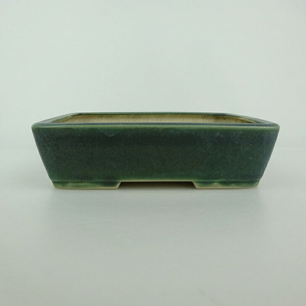 中古盆栽鉢 青香 小型 長辺 約 14.8cm 長方鉢 釉薬  中古鉢 q1198414765
