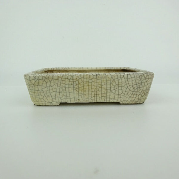 中古盆栽鉢 青香 小型 長辺 約 12.3cm 長方鉢 貫入 釉薬  中古鉢 g1198420561