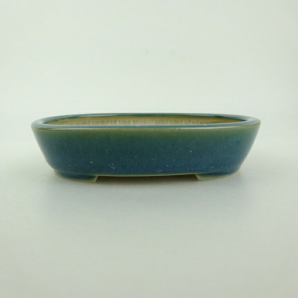 中古盆栽鉢 青香 小鉢 長辺 約10cm 楕円鉢 釉薬  中古鉢 q1198410248