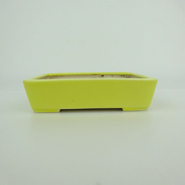 中古盆栽鉢 青香 小型 長辺 約 12cm 長方鉢 釉薬  中古鉢 r1198404736