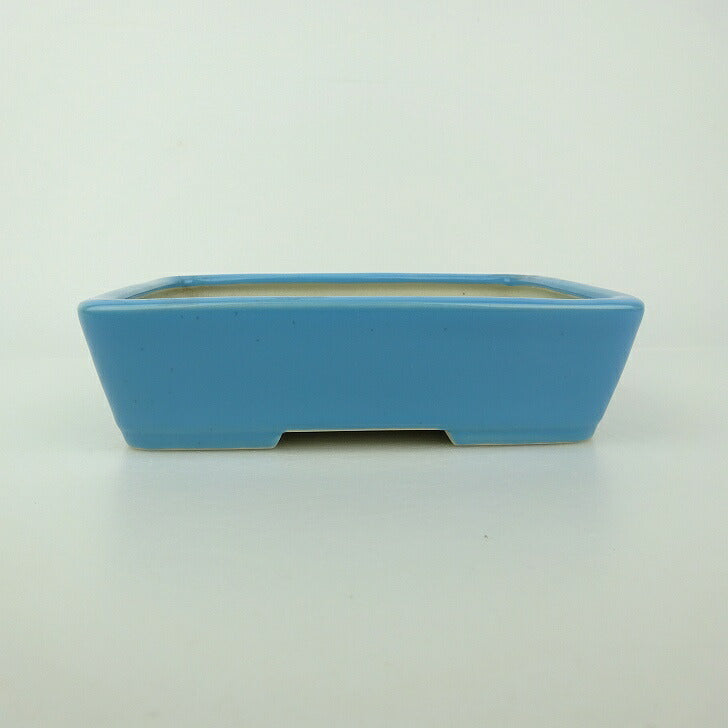 Best Selling Products - 森流 GreenFlow - 動植物造景專門店 – Page114