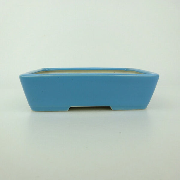 中古盆栽鉢 青香 小型 長辺 約 14.5cm 長方鉢 釉薬  中古鉢 n1198405944