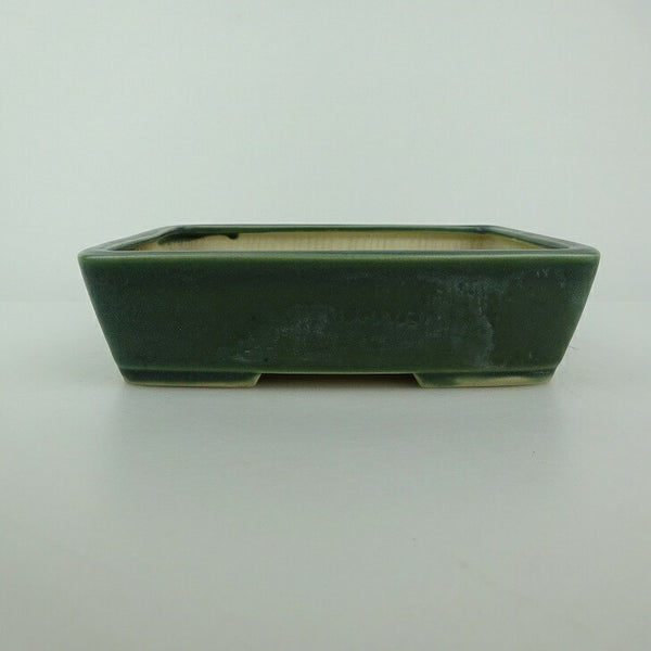 中古盆栽鉢 青香 小型 長辺 約 14.8cm 長方鉢 釉薬  中古鉢 t1198412963