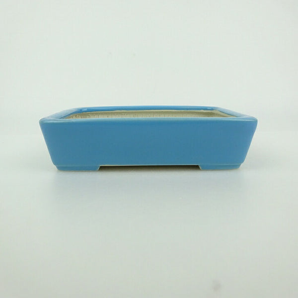 中古 盆栽鉢 青香 小型 長辺 約 12cm 長方鉢 釉薬  中古鉢 q1198411042