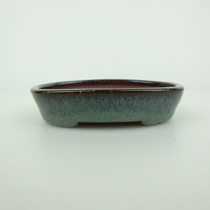 Best Selling Products - 森流 GreenFlow - 動植物造景專門店 – Page114