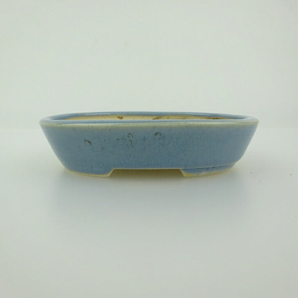 中古盆栽鉢 青香 小鉢 長辺 約8.5cm 楕円鉢 釉薬  中古鉢 l1198412415