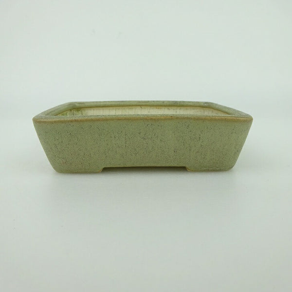 中古盆栽鉢 青香 小鉢 長辺 約9.5cm 長方鉢 釉薬  中古鉢 p1198412449