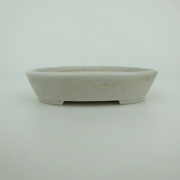 中古盆栽鉢 青香 小鉢 長辺 約10cm 楕円鉢 釉薬  中古鉢 h1198422443
