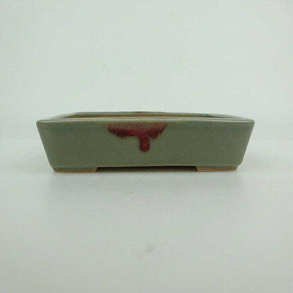 中古盆栽鉢 青香 小型 長辺 約 12cm 長方鉢 釉薬  中古鉢 t1198414652