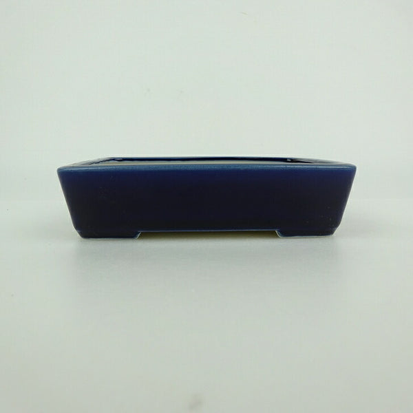 中古盆栽鉢 青香 小型 長辺 約 12cm 長方鉢 釉薬  中古鉢 1198407864