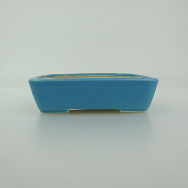 中古盆栽鉢 青香 小鉢 長辺 約9.3cm 長方鉢 釉薬  中古鉢 p1198421758