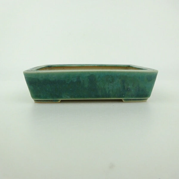 中古盆栽鉢 青香 小型 長辺 約 12cm 長方鉢 釉薬  中古鉢 q1198416012