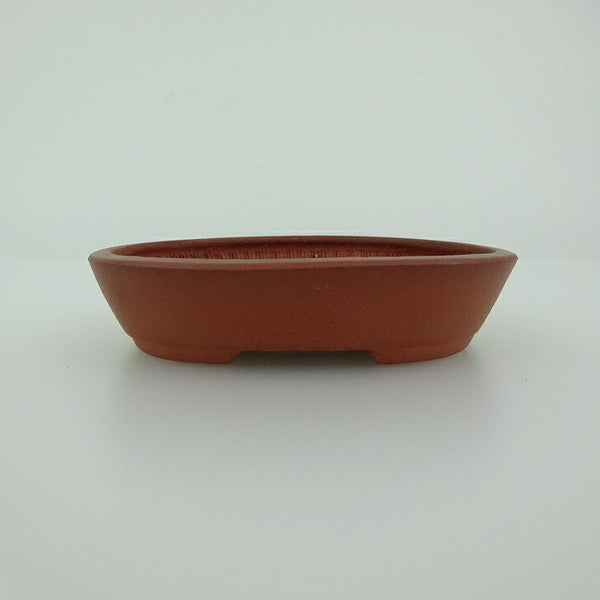 中古盆栽鉢 青香 小鉢 長辺 約8.2cm 楕円鉢 泥物  中古鉢 o1198428810