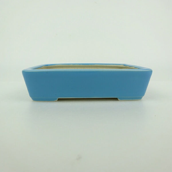 中古盆栽鉢 青香 小型 長辺 約 12.1cm 長方鉢 釉薬  中古鉢 e1198410287