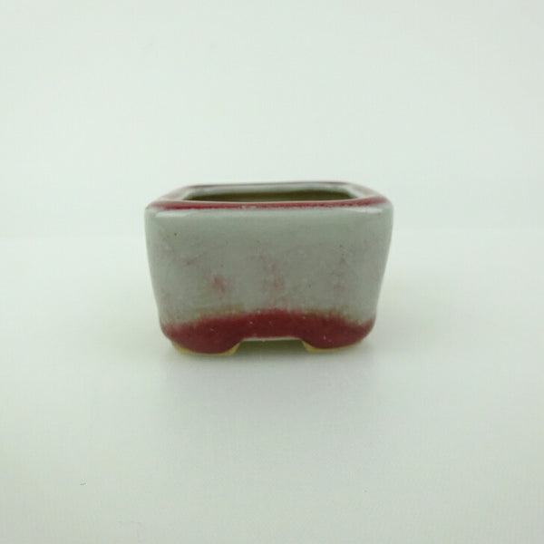 中古盆栽鉢 青香 豆鉢 長辺 約4.4cm 正方鉢 釉薬  中古鉢 l1198414160