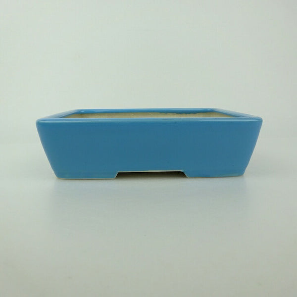 中古盆栽鉢 青香 小型 長辺 約 14.5cm 長方鉢 釉薬  中古鉢 h1198429306