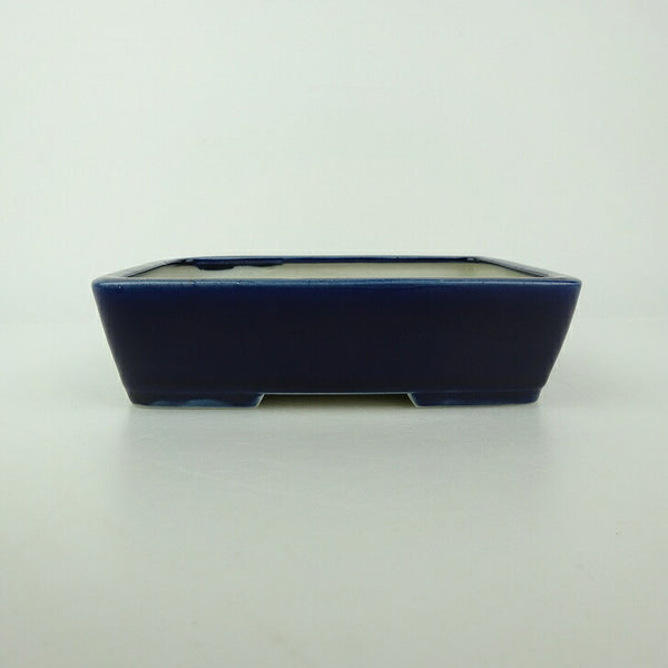 中古盆栽鉢 青香 小型 長辺 約 14.6cm 長方鉢 釉薬  中古鉢 1198407067