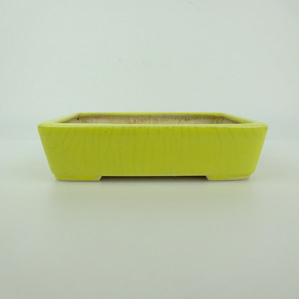 中古 盆栽鉢 青香 小型 長辺 約 12.2cm 長方鉢 釉薬  中古鉢 h1198428513