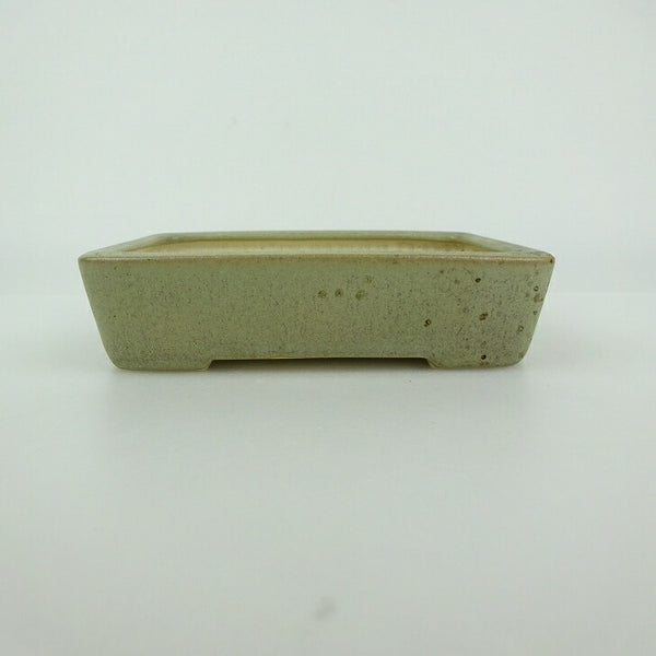 中古 盆栽鉢 青香 小型 長辺 約 12cm 長方鉢 釉薬  中古鉢 r1198404845